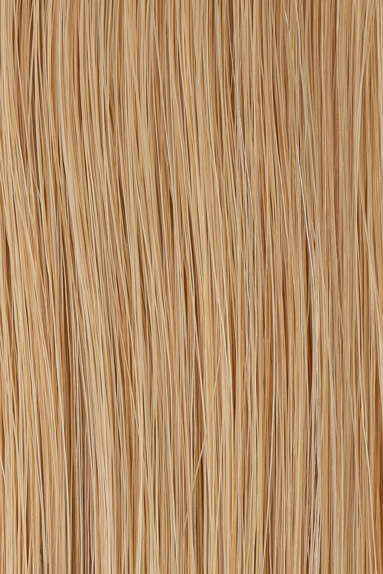 27 Honey Blonde hair colour — Macro