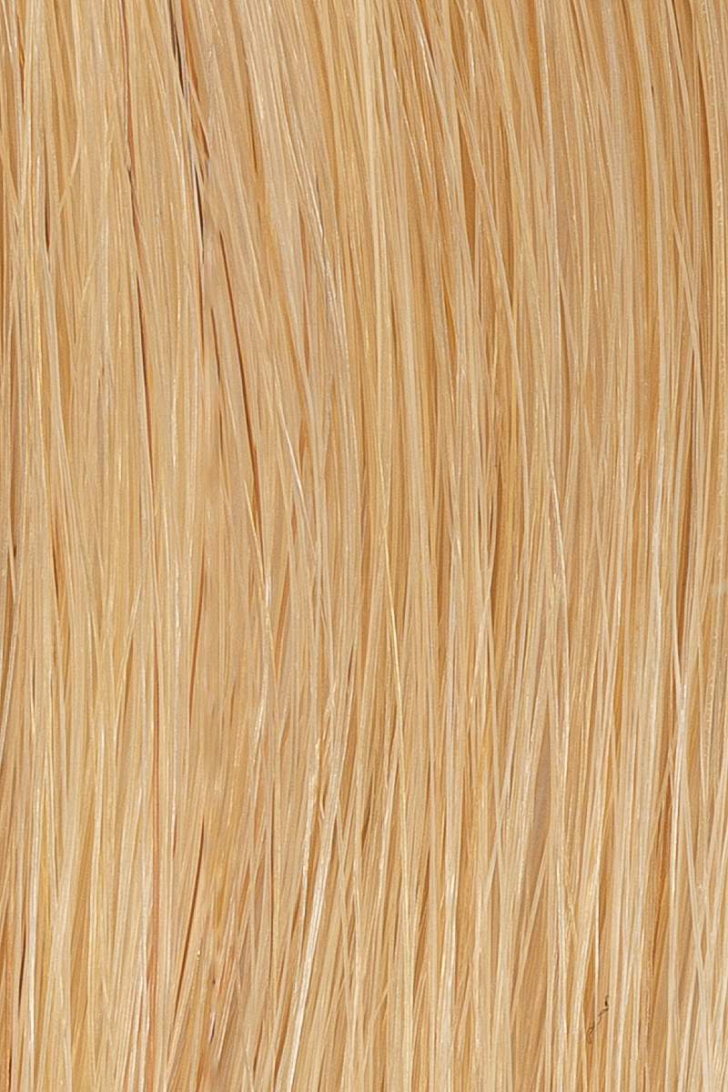 18 Warm Blonde hair colour — Macro