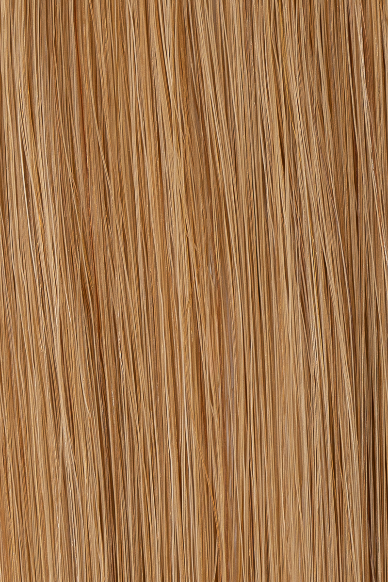 12 Golden Brown hair colour — Macro