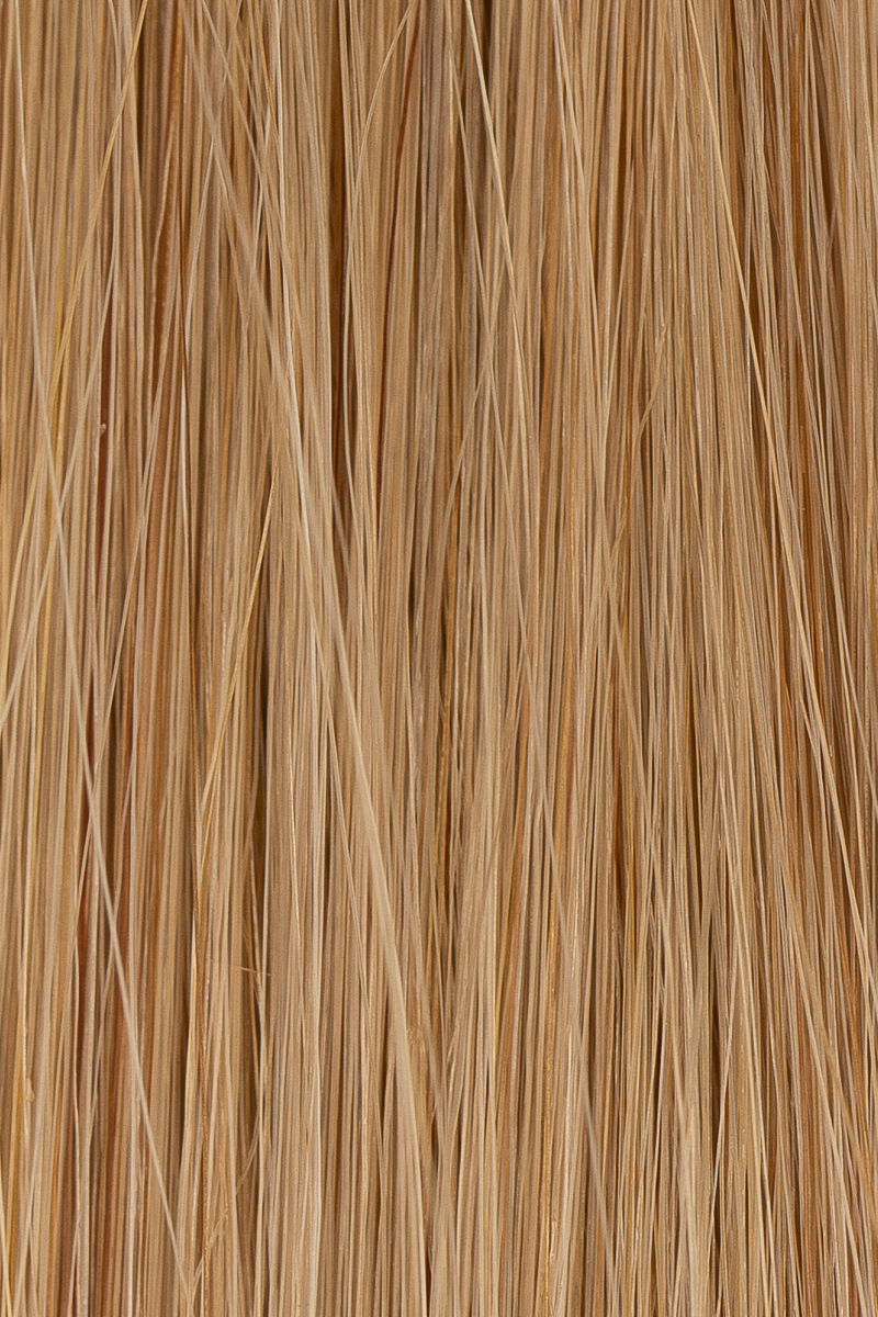 5Q Golden Blonde hair colour — Macro