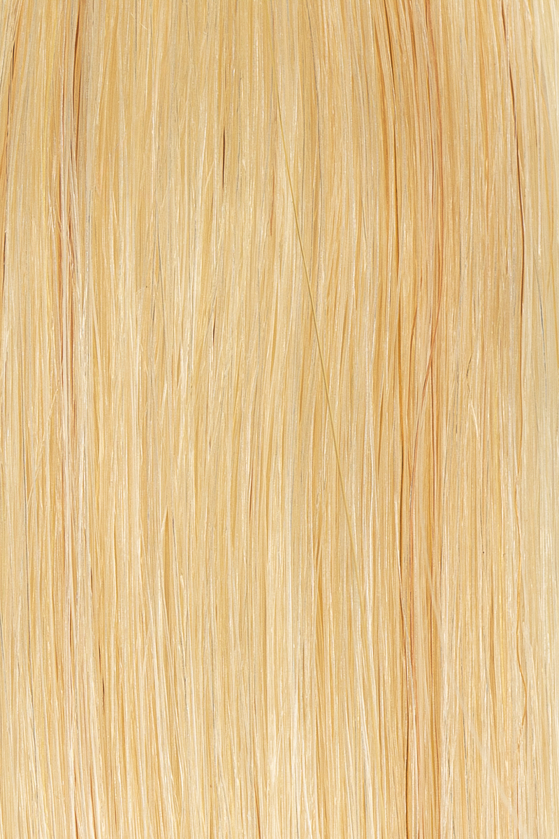613 Light Blonde hair colour — Macro